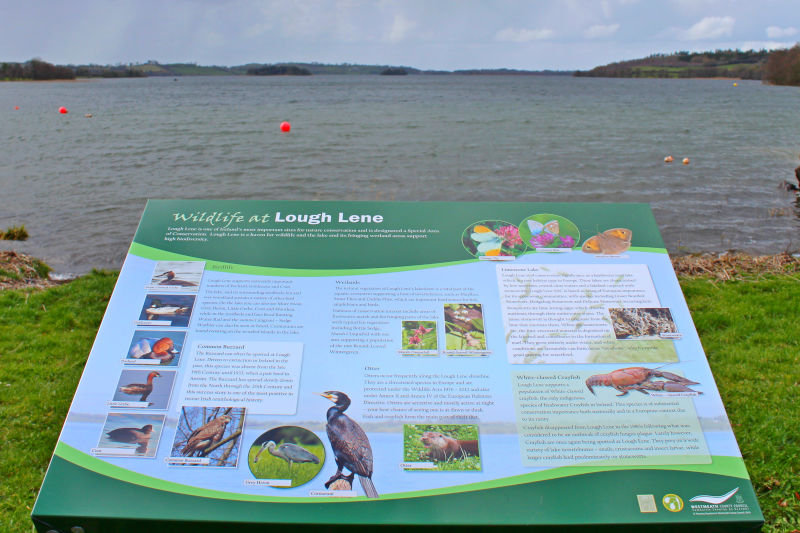 Lough Lene